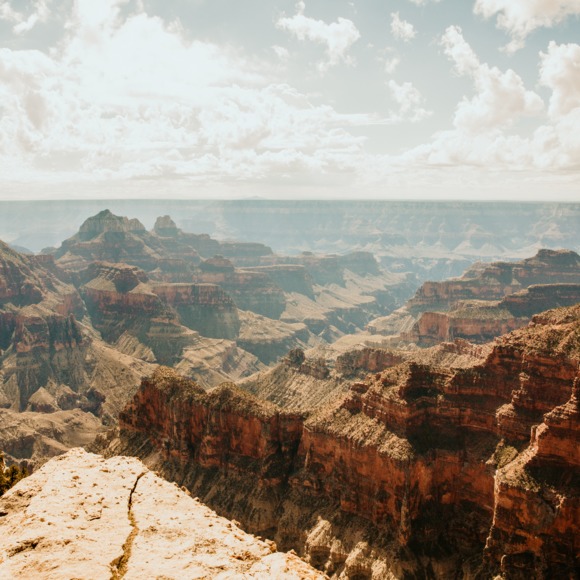 Meet your Posher, Kate - Picture 1 of 1